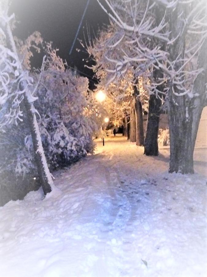 Villa Rosalia Villanúa Dış mekan fotoğraf
