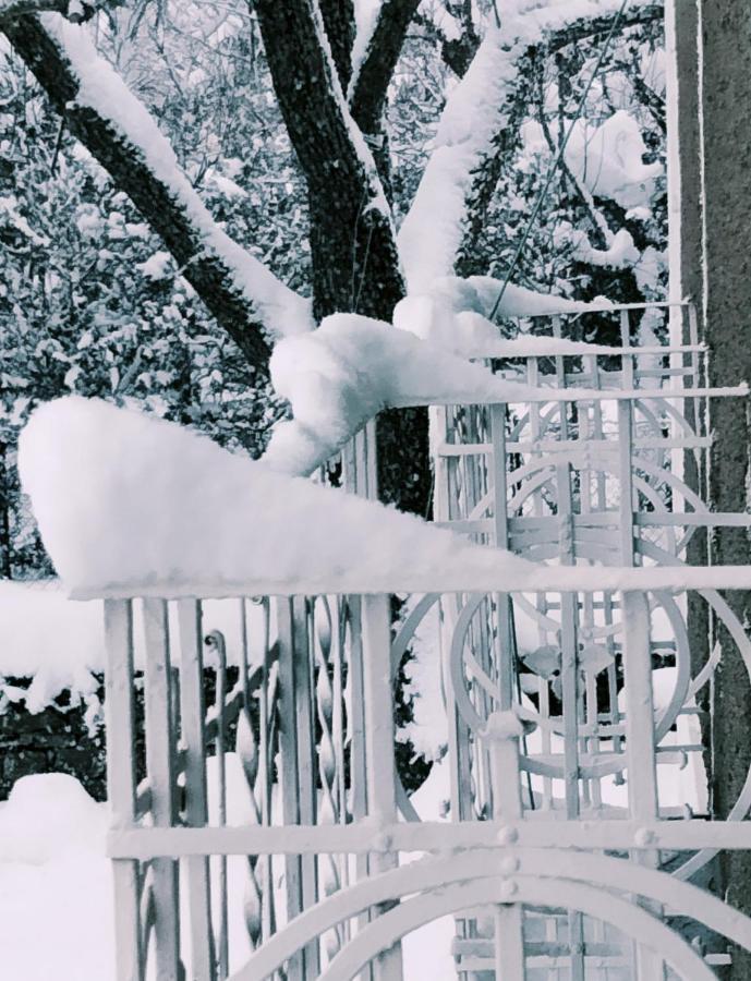Villa Rosalia Villanúa Dış mekan fotoğraf