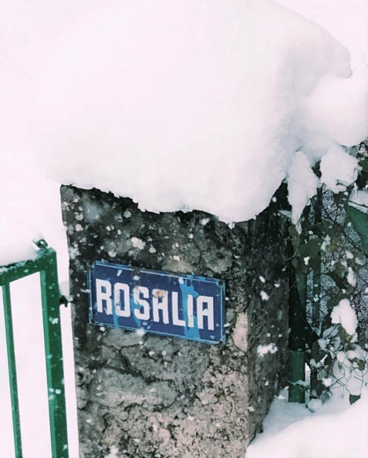Villa Rosalia Villanúa Dış mekan fotoğraf